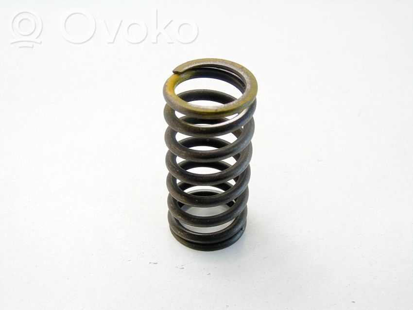 Valve spring