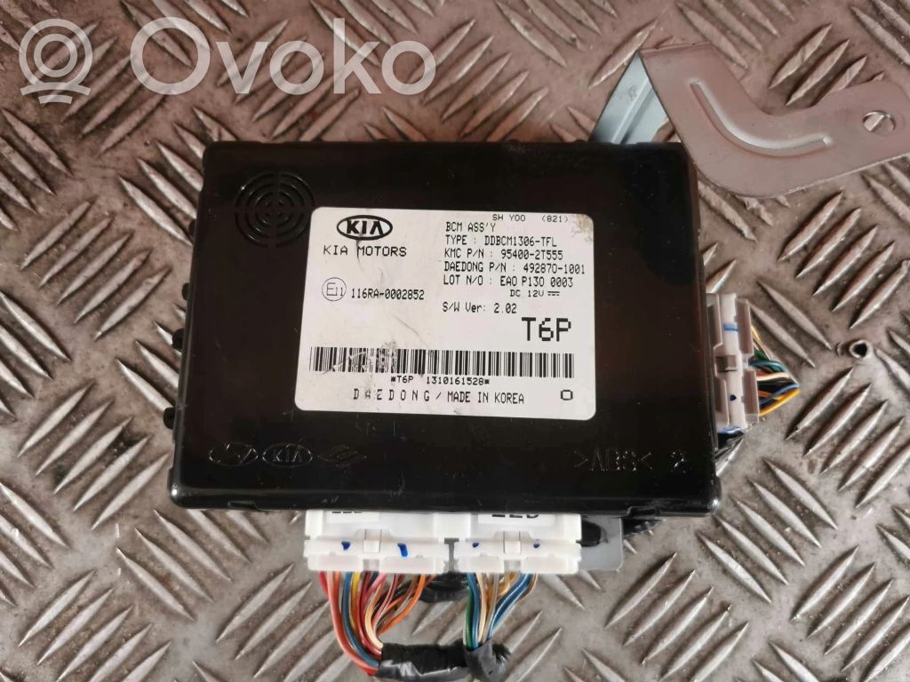 BSM Control unit   954002T555