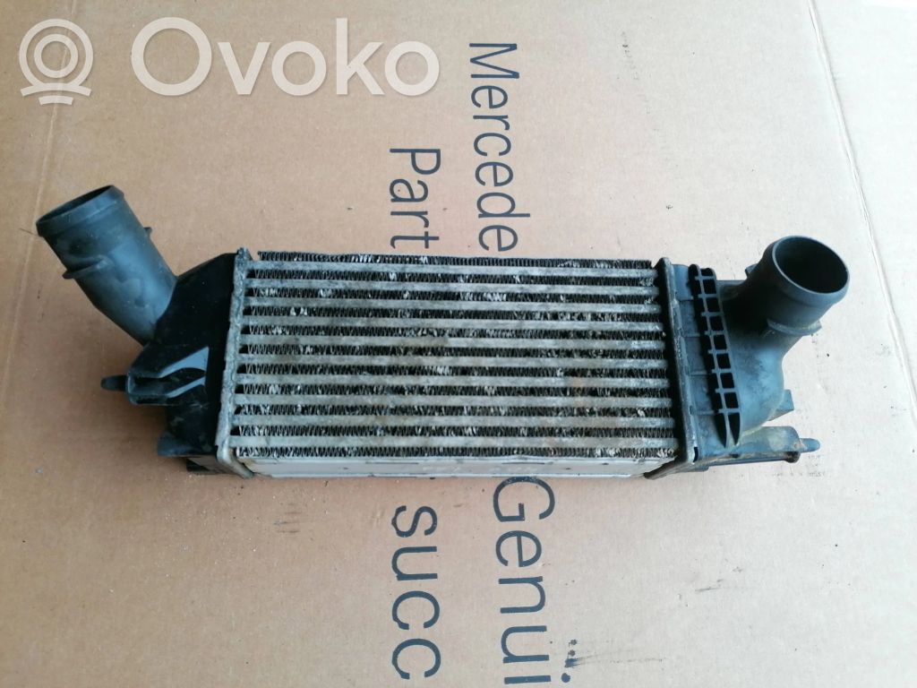Peugeot 407 Intercooler radiator 