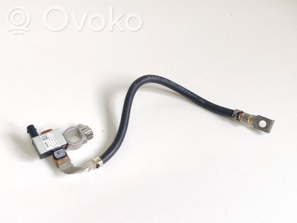 BMW X6 F16 Cable negativo de tierra (batería) 