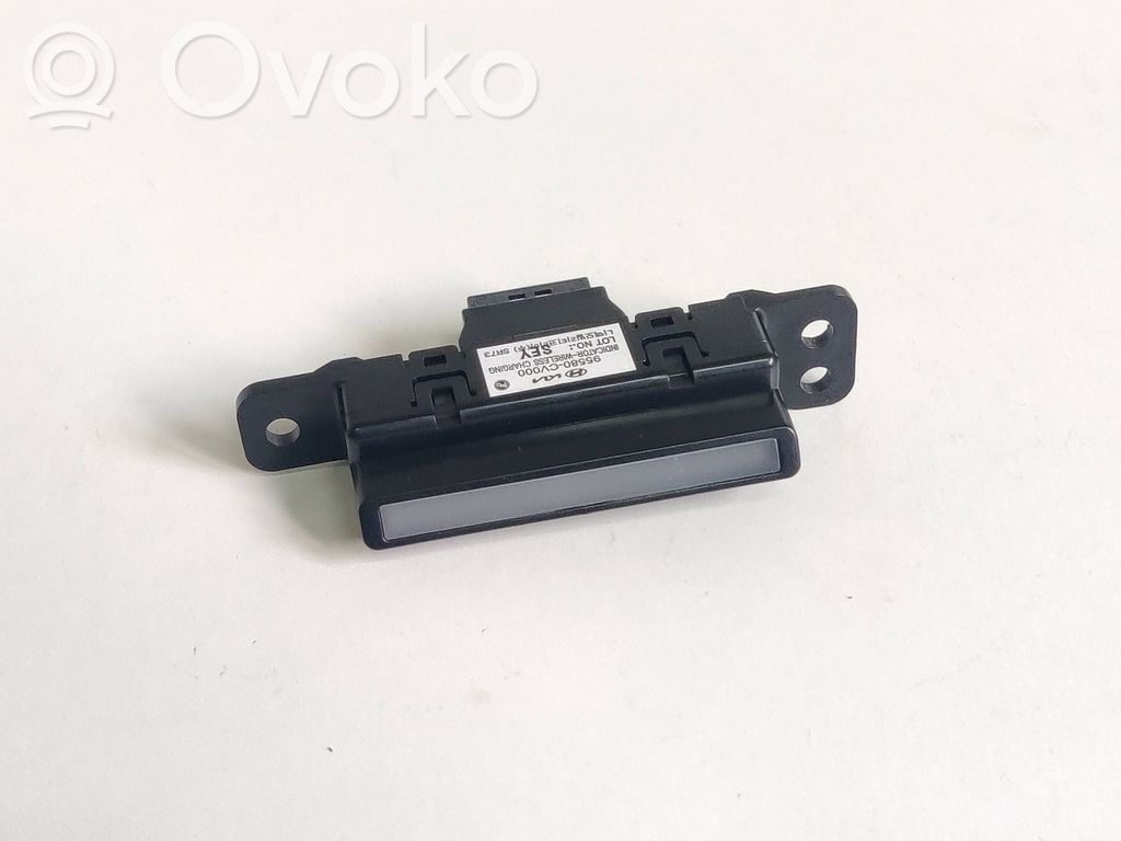 Otras luces interiores   95580CV000