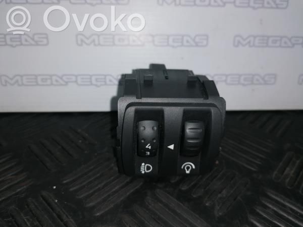 Interruptor de luz   251900001RD,88020009459