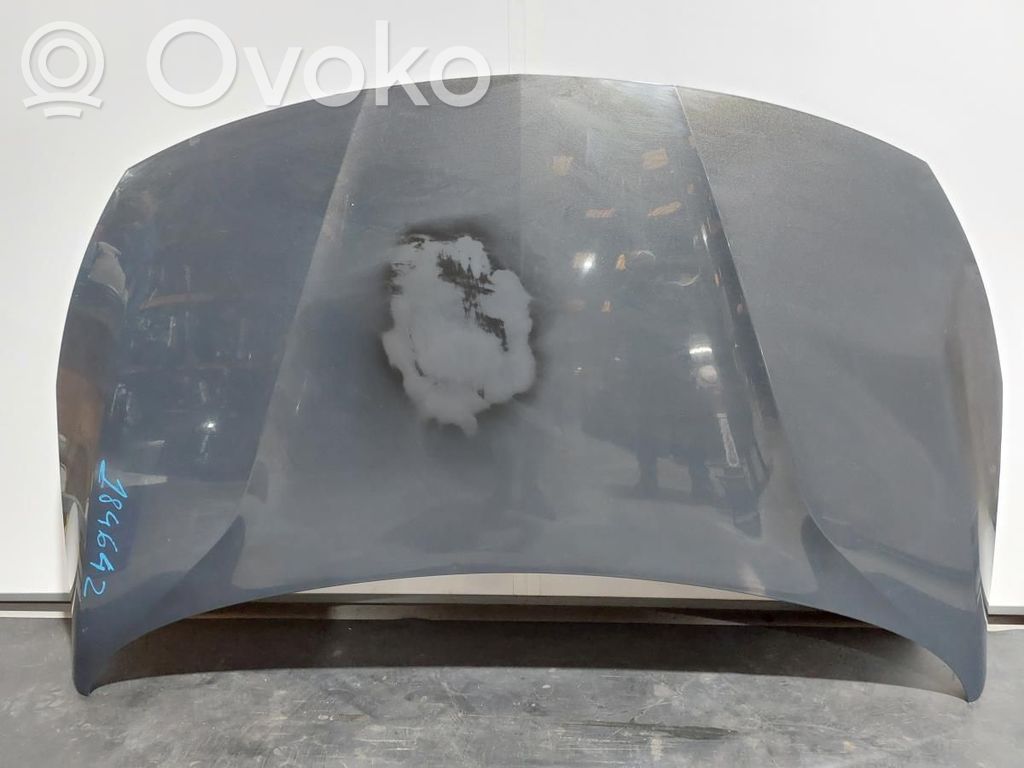 Motorhaube   39054067