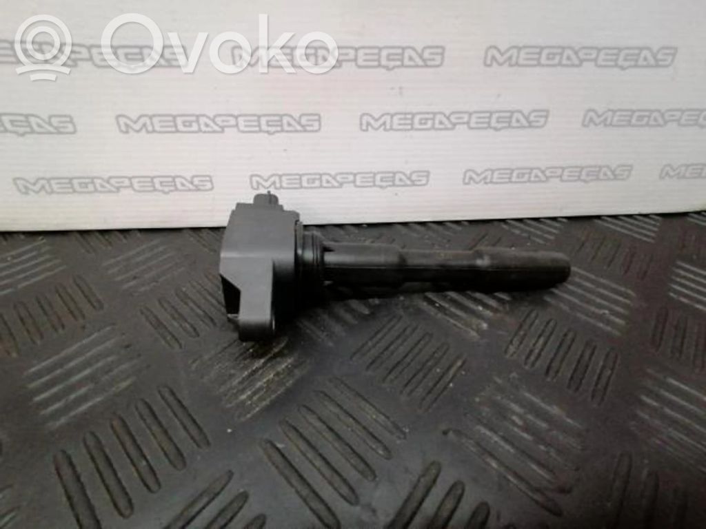 Bobina de encendido de alto voltaje   224332428R