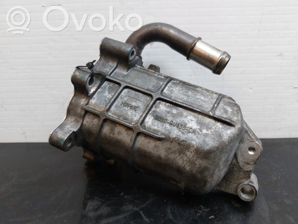 Citroen C5 Refrigerador de la válvula EGR 