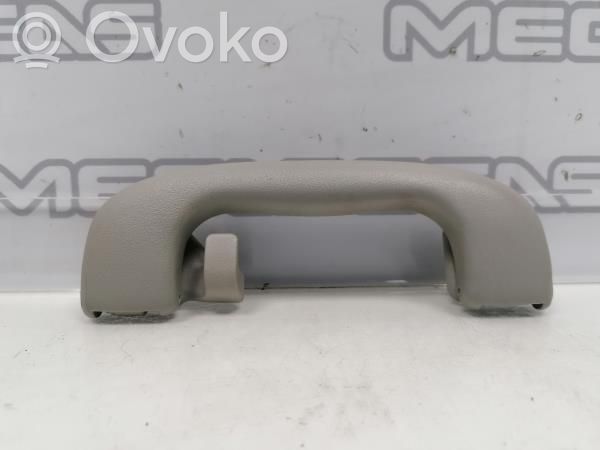 Asidero interior delantero   5354923