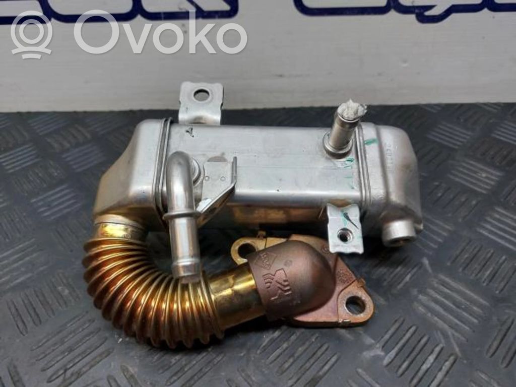 Nissan Qashqai Valvola di raffreddamento EGR 