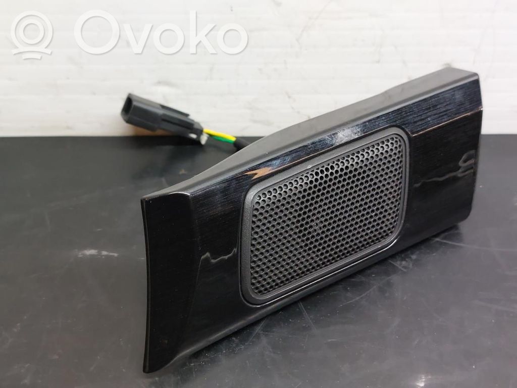 Altavoz del panel   20804210