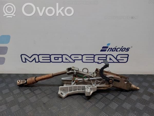 Ford Focus Vairas 