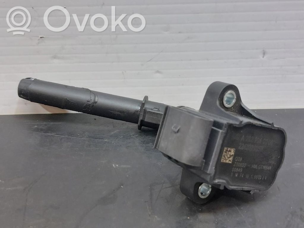 Zündspule Zündmodul   224332935R