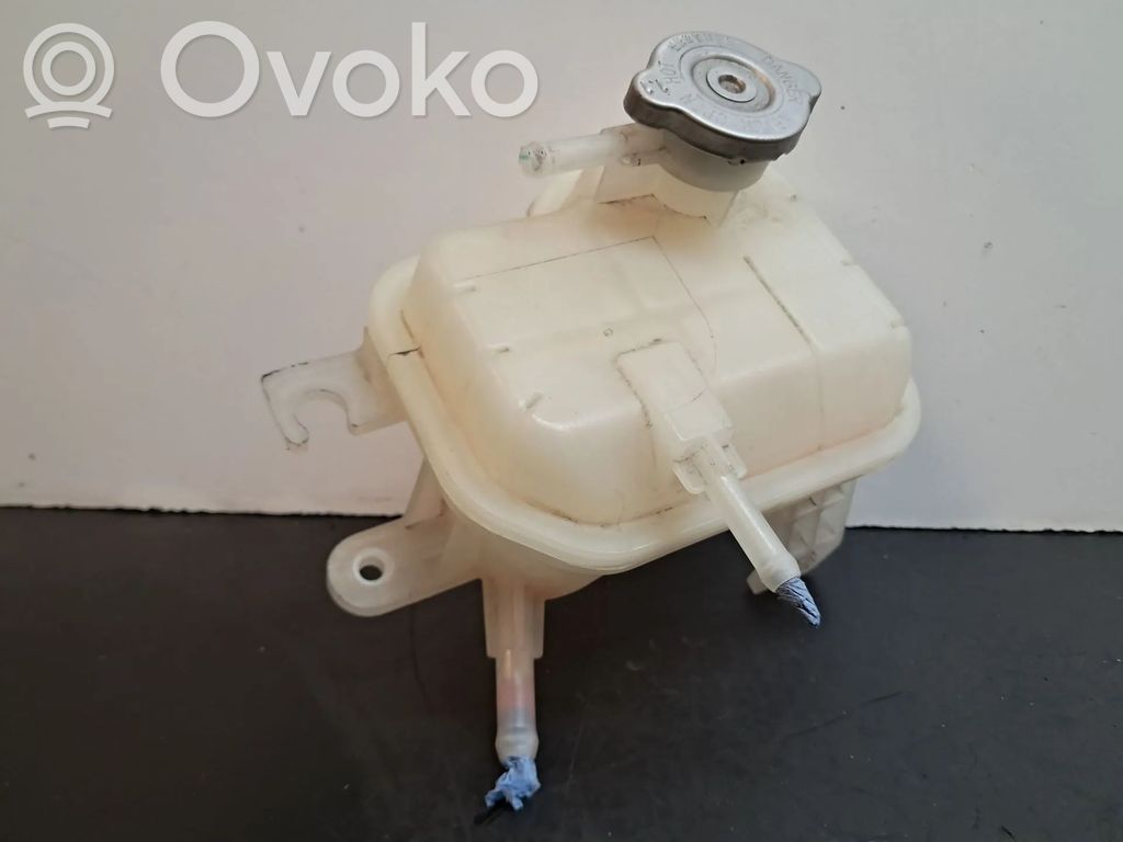 Dacia Spring Zbiornik wyrównawczy chłodziwa 