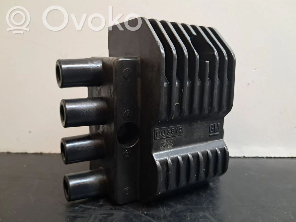 High voltage ignition coil   1103872,10487489