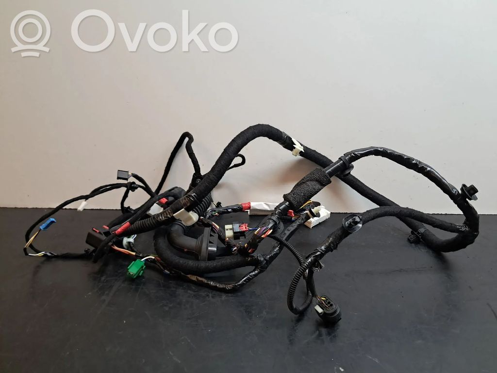 Otros cableados   161667804C,161667804C