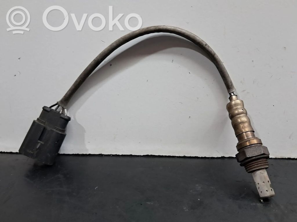 Sonde lambda   55202416,OZA641A1