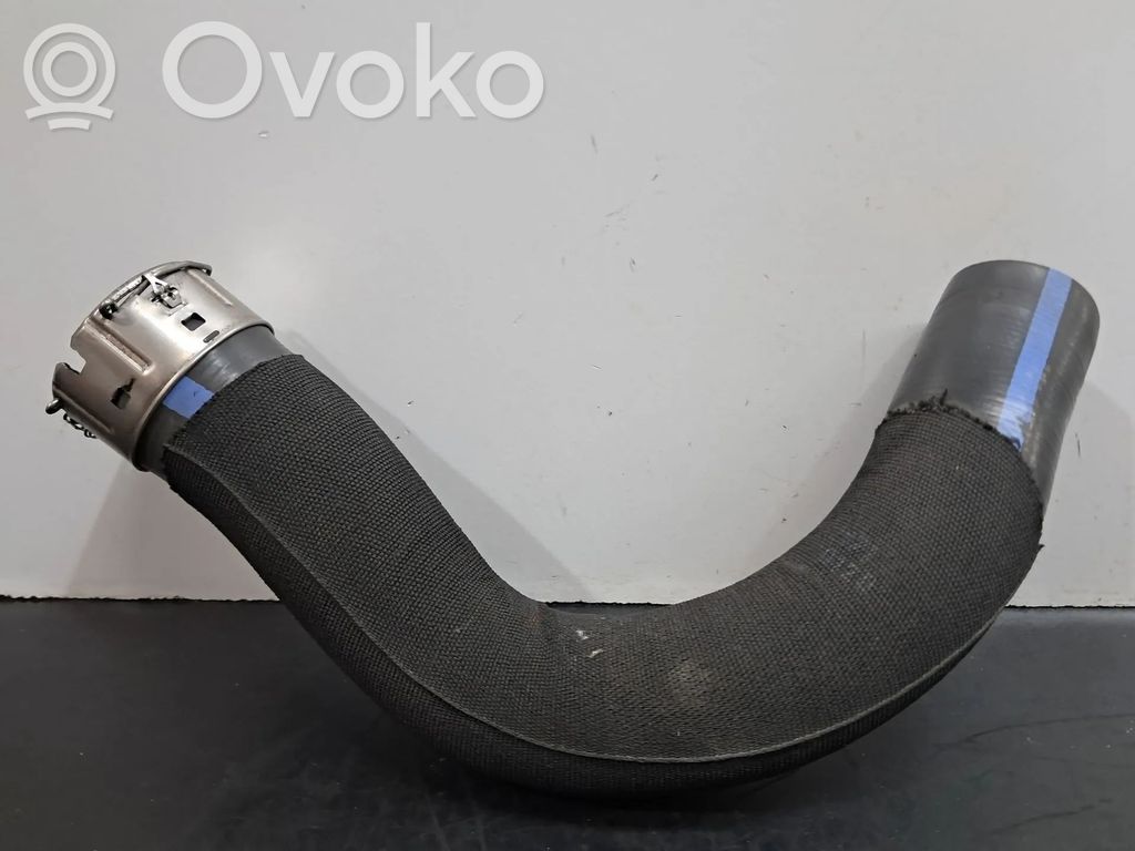Wąż / Rura intercoolera   144606878R