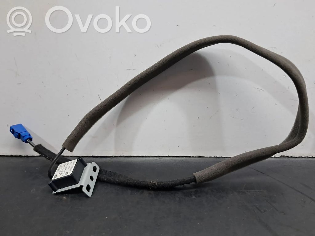 Amplificator antenă aeriană   259759661R