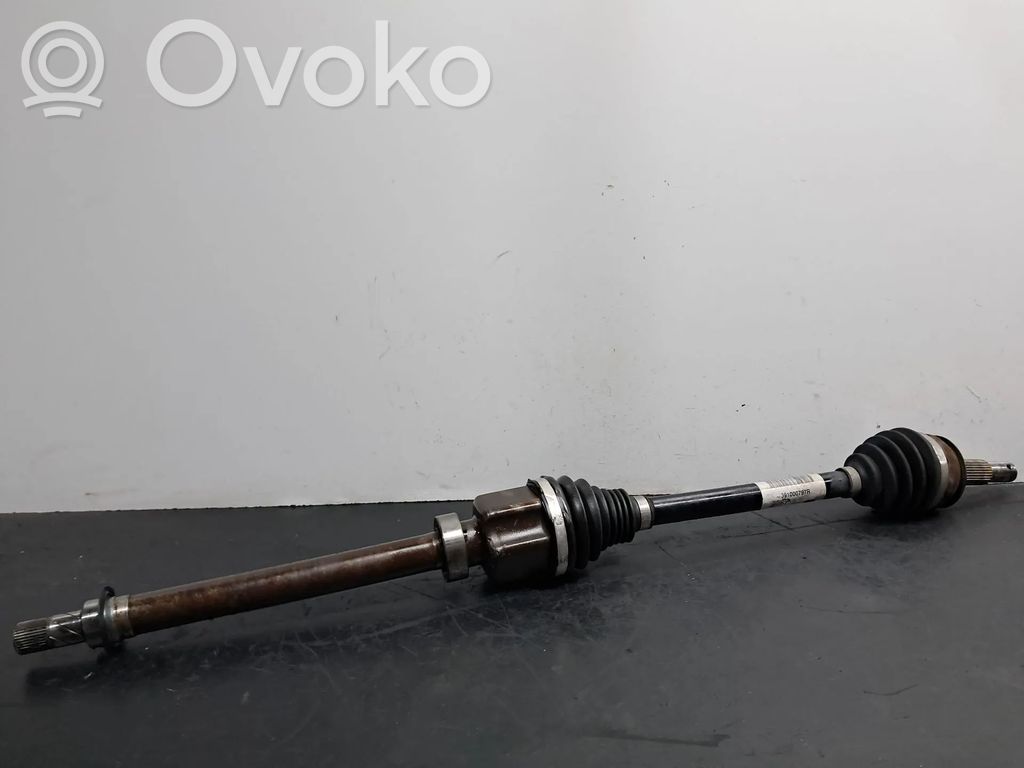 Priekšējā pusass   391000797R