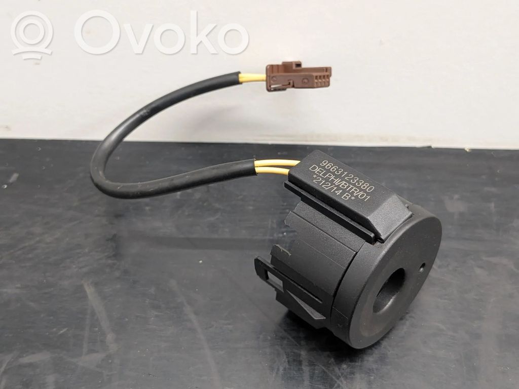 Citroen C4 II Amplificatore antenna 
