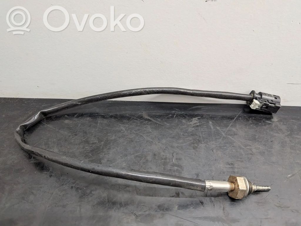 BMW 3 F30 F35 F31 Sensore della temperatura esterna