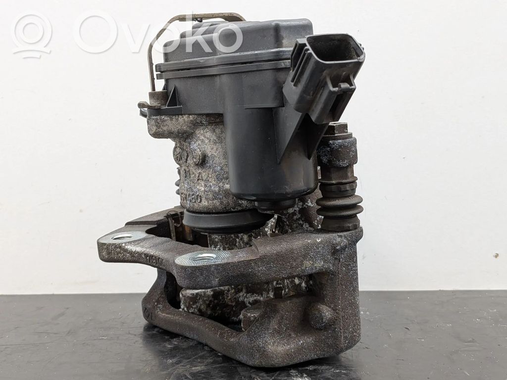 Takajarrusatula   440000286R,440016606R