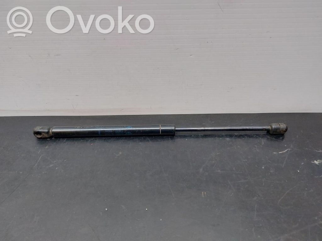 Tailgate/trunk strut/damper   7700842256