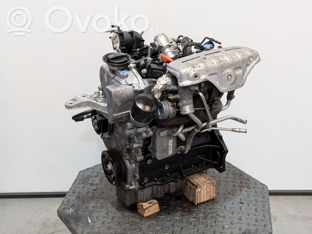 Moottori   CAVG,03C011AR,03C100092DX,CAV