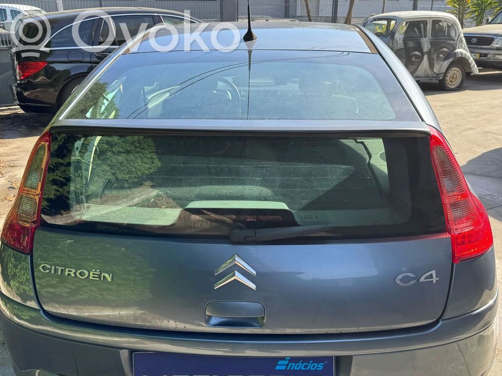 Galinis dangtis (bagažinės)   8701V0