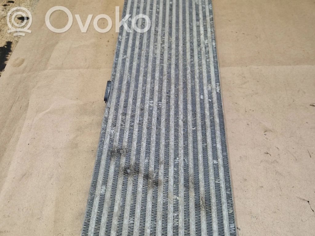 Mercedes-Benz Sprinter W906 Radiatore intercooler 