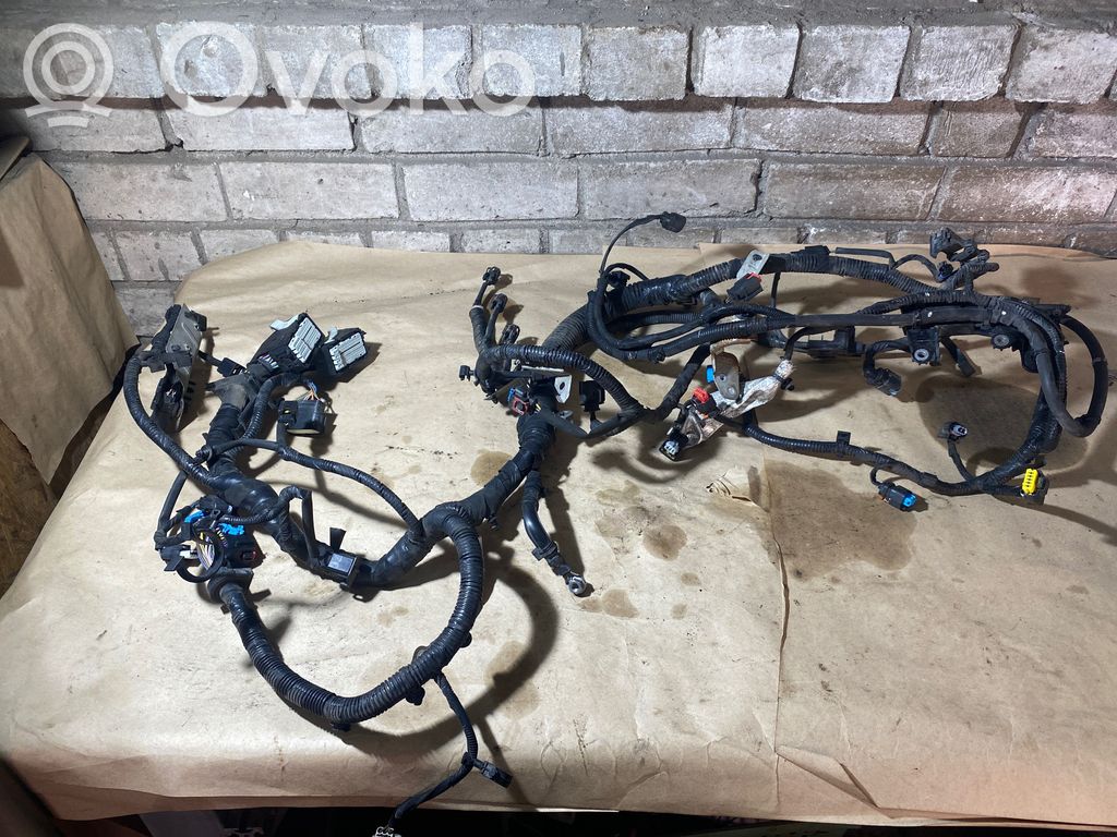 Ford Focus Engine installation wiring loom 