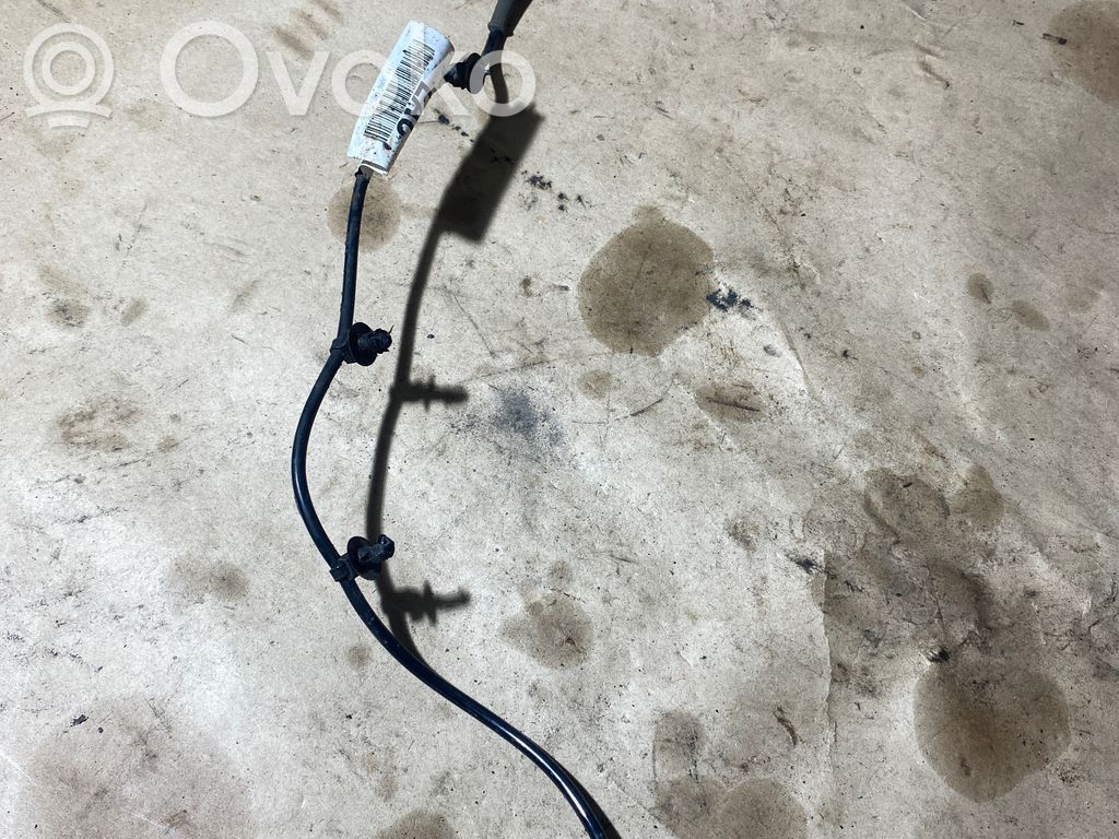 Ford Focus Otros cableados 