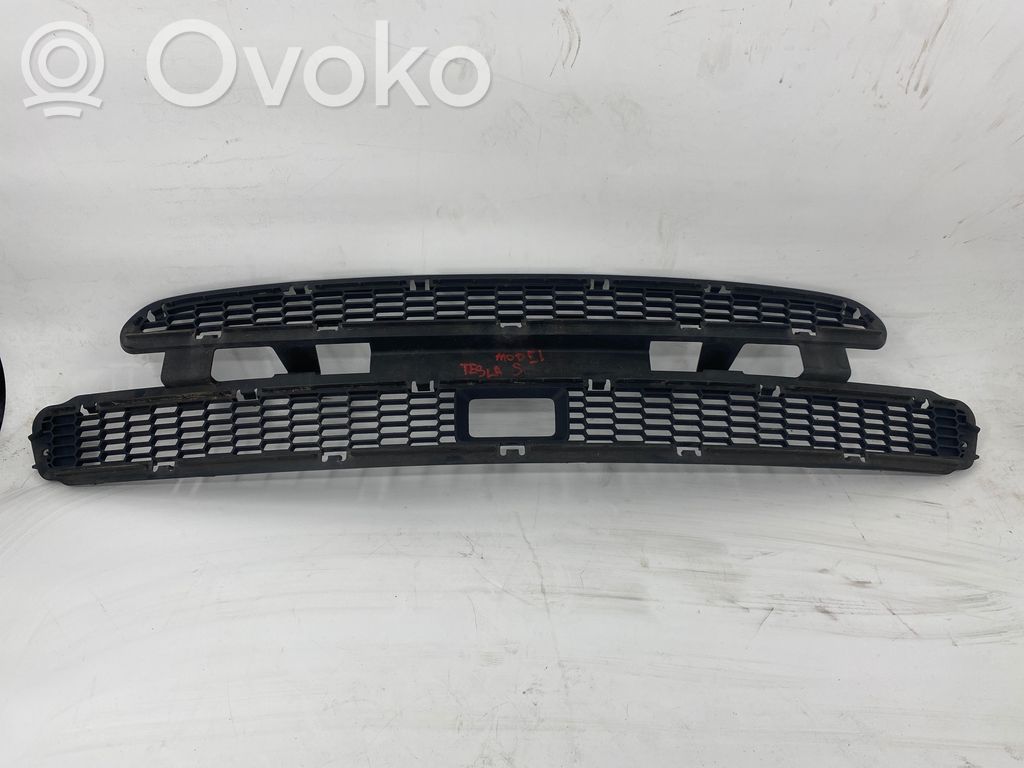 Front grill   103821100A