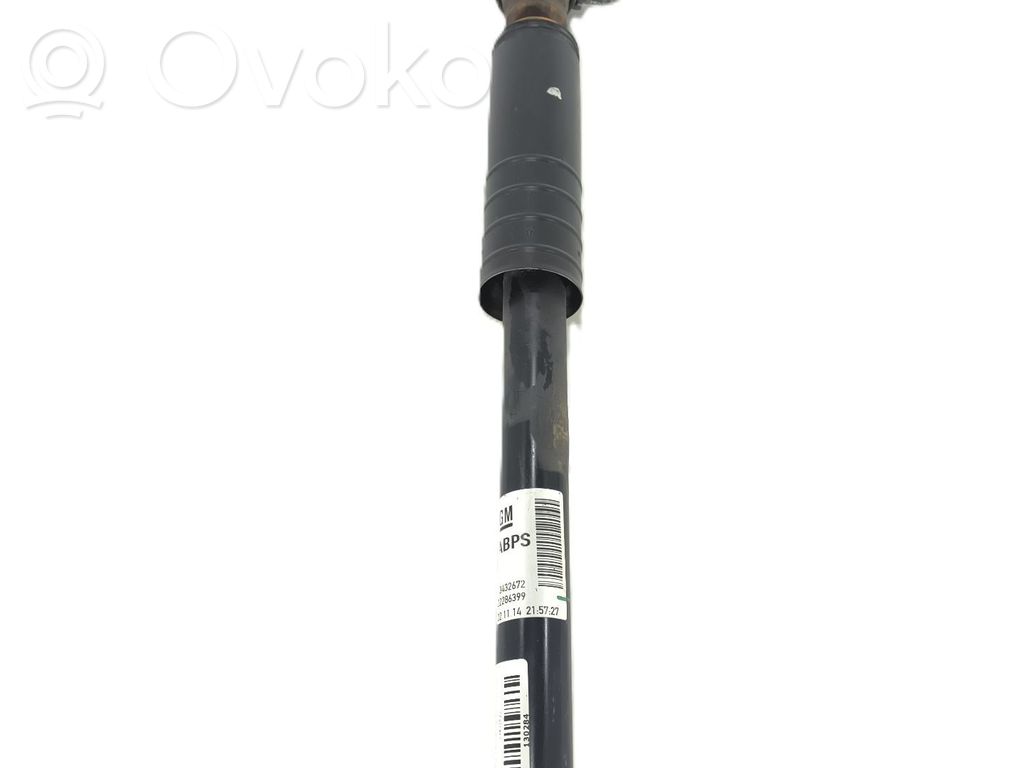 Stoßdämpfer hinten   13432672