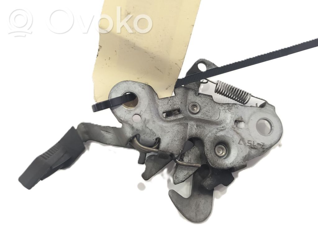 Tie down hook / loop   793468