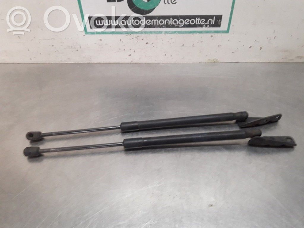 Tailgate/trunk strut/damper   8711TQ,8711TQ