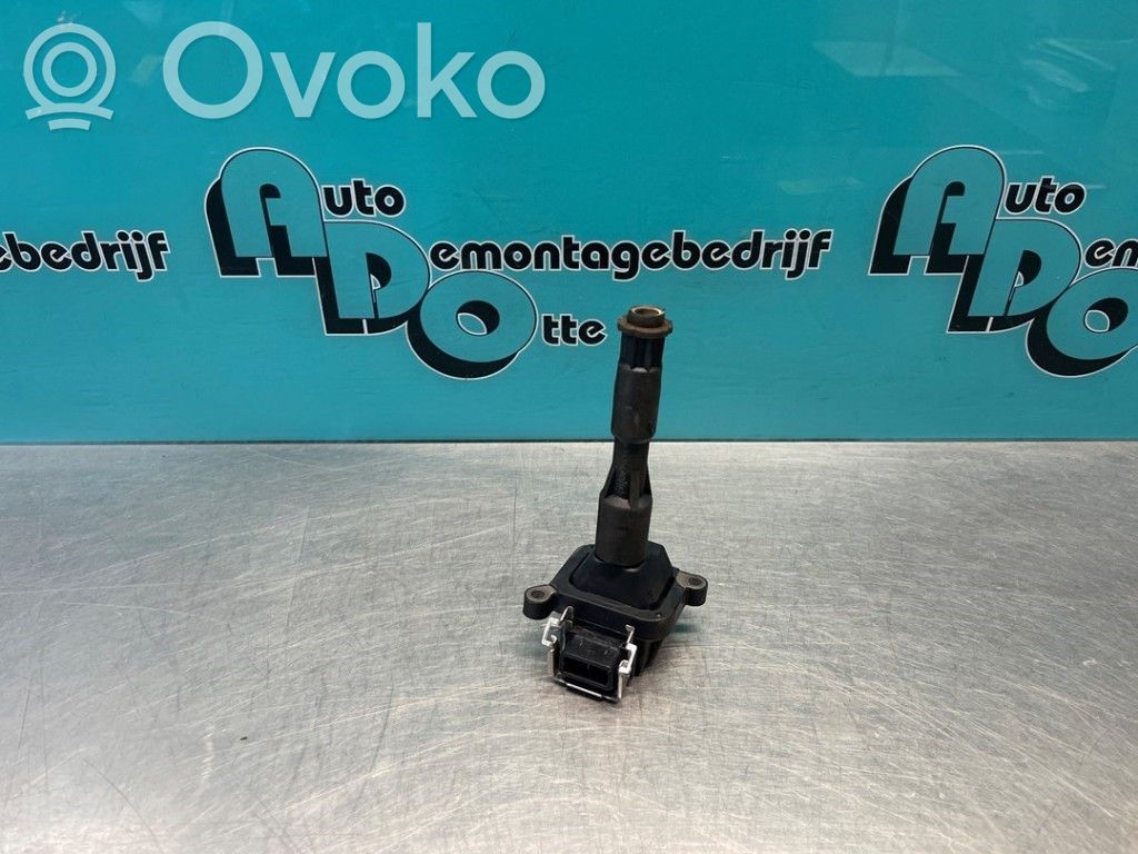 High voltage ignition coil   1354489085,0221504004,0221504004,1354489085,190111
