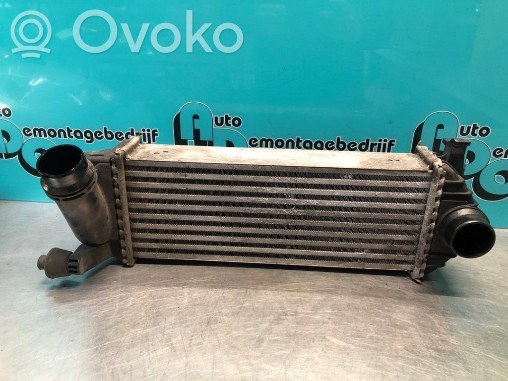 Mercedes-Benz Citan W415 Chłodnica powietrza doładowującego / Intercooler 