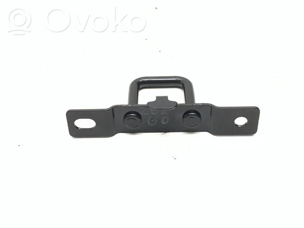 Rear door lower hinge   110186500A