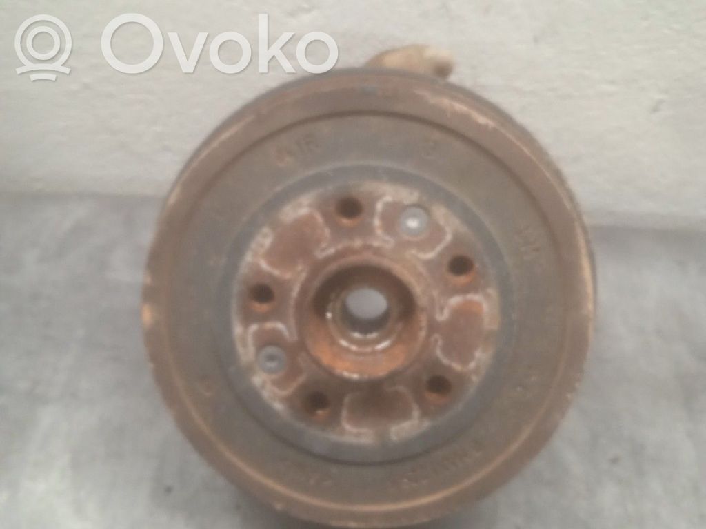 Galinė stebulė   402021241R