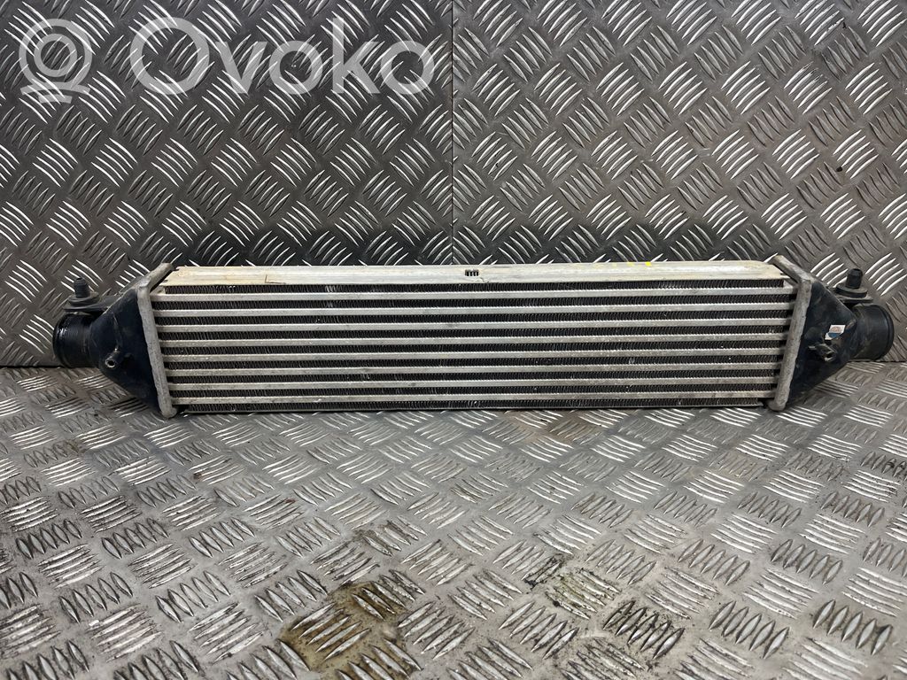 Interkūlerio radiatorius   51783791
