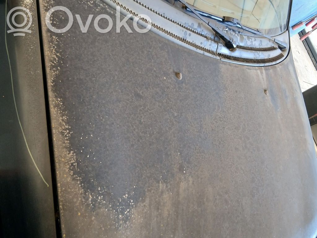 Konepelti   9195560