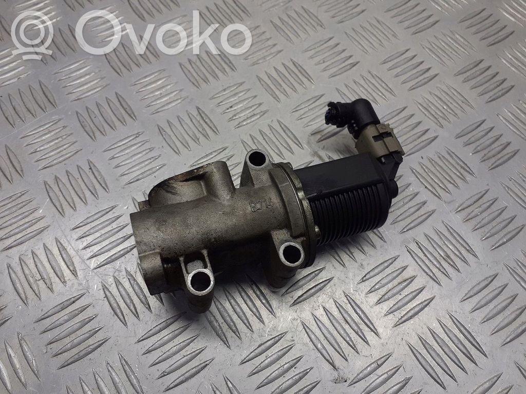 Válvula EGR   50024005