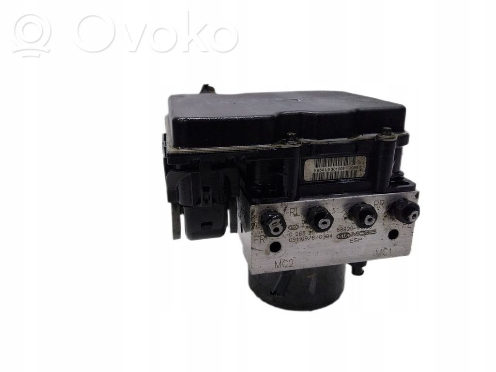 ABS Pump   589201H900