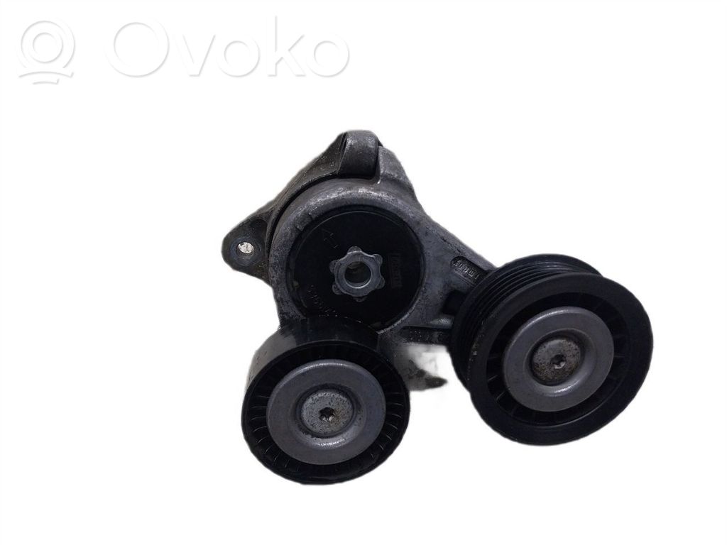 Generatoriaus diržo atraminis guolis   0100360101