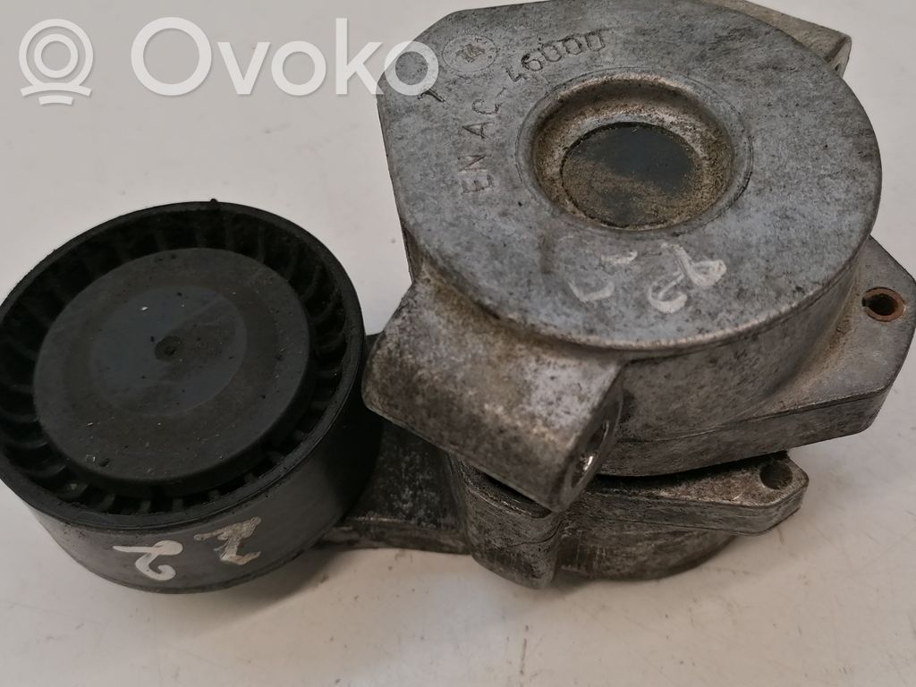 Ford Transit Generatoriaus diržo įtempėjas 