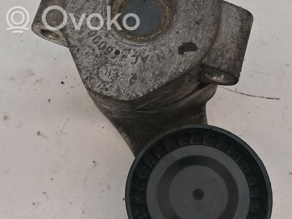 Ford Transit Generatoriaus diržo įtempėjas 