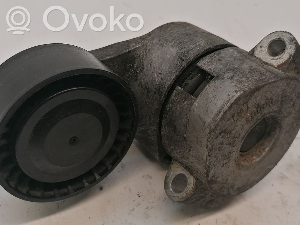 Ford Transit Paskirstymo diržo/ grandinės įtempėjas 