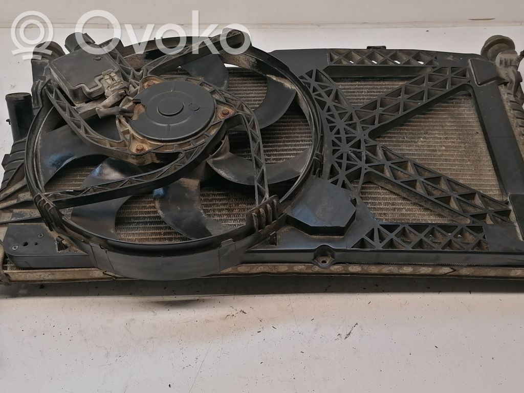 Ford Transit Radiator set 