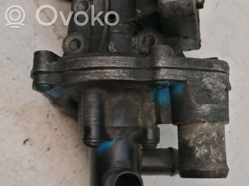 Ford Transit Vandens pompa 