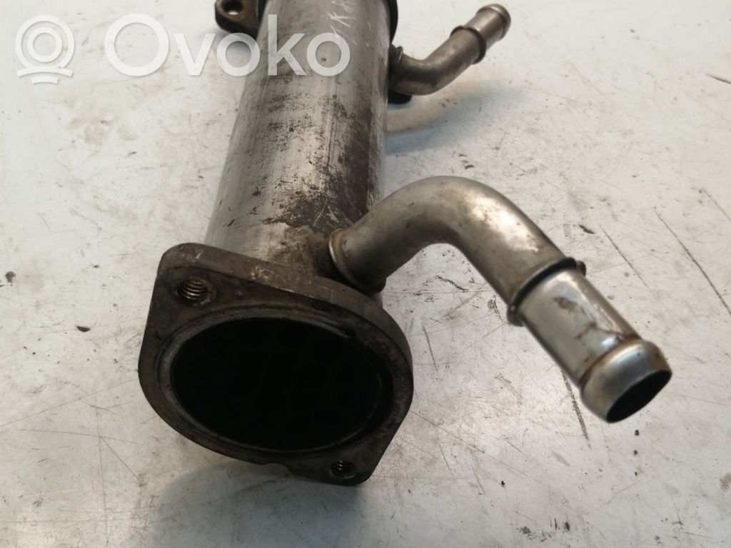 Ford Transit EGR-venttiili/lauhdutin 