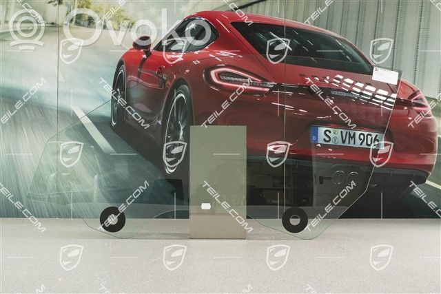 Porsche 911 991 Gaisa plūsmas novirzītājs (-i) 